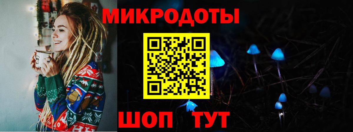 Псилоцибиновые грибы мицелий Курчалой