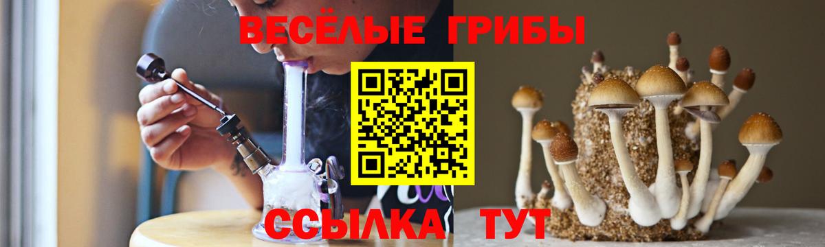 Галлюциногенные грибы мухоморы  где можно купить   Курчалой  Вход с VPN 